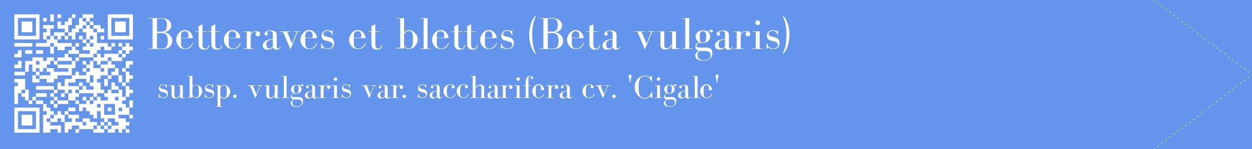 étiquette 2