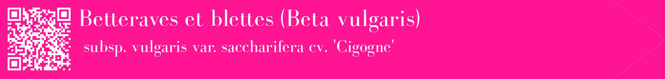 étiquette 2