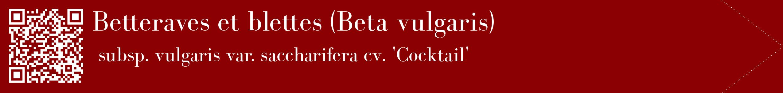 étiquette 2