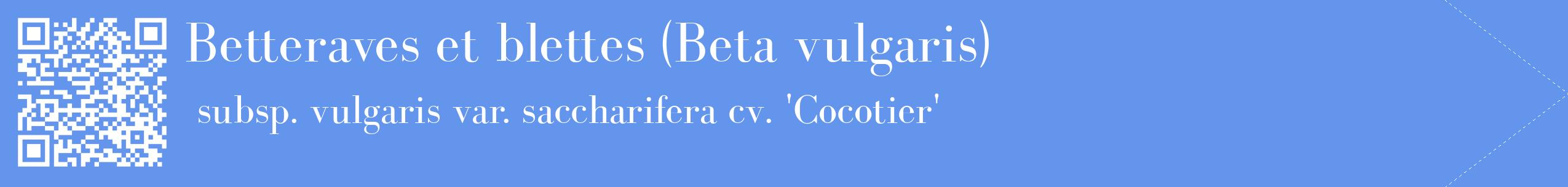 étiquette 2