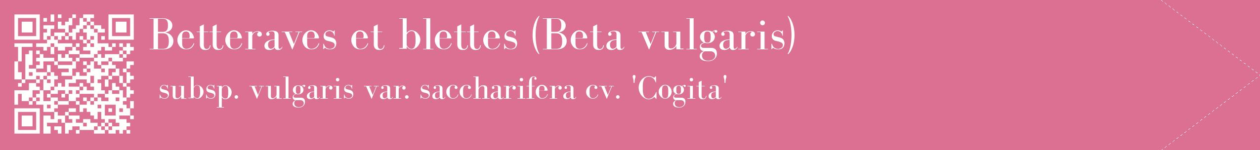 étiquette 2