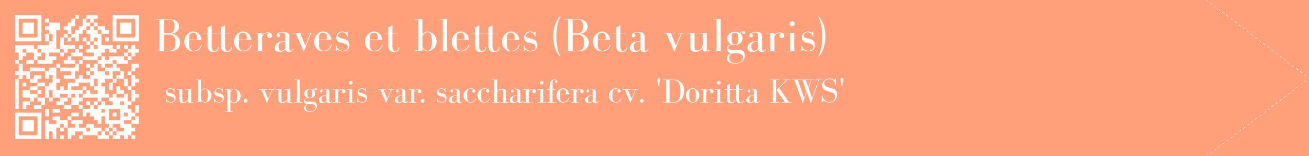 étiquette 2