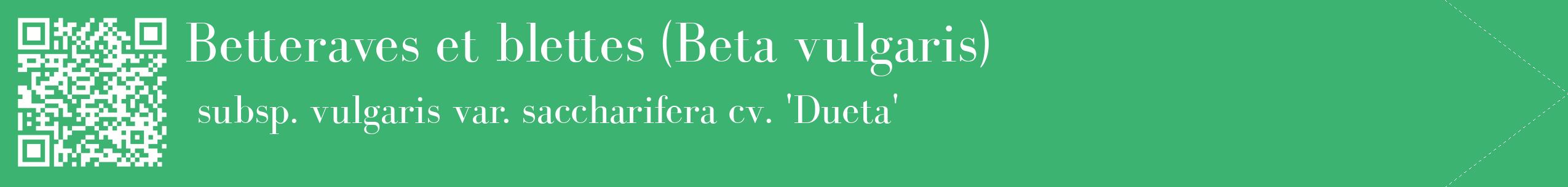 étiquette 2