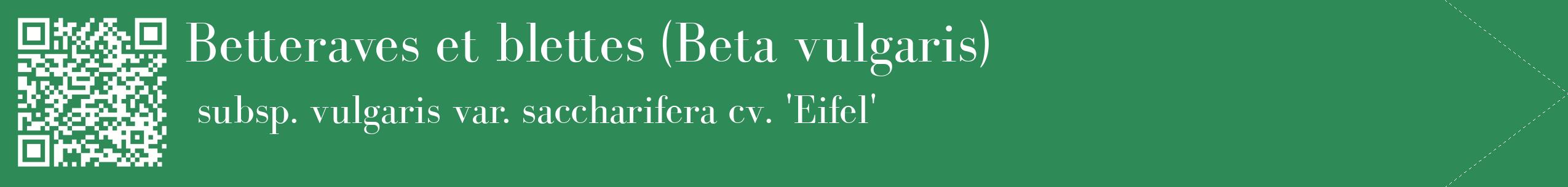 étiquette 2