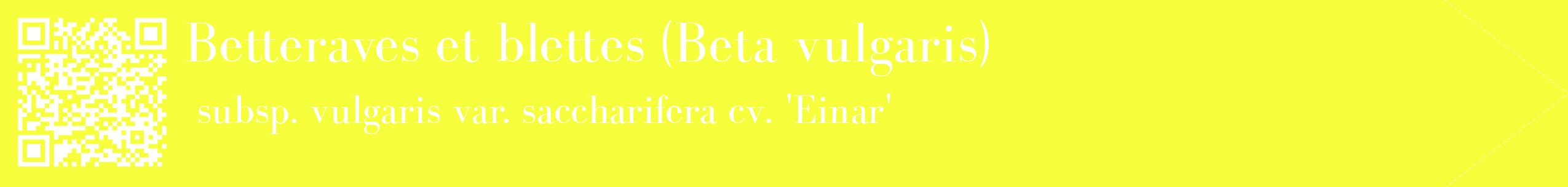 étiquette 2