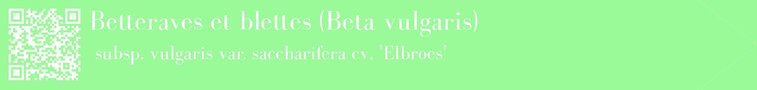 étiquette 2