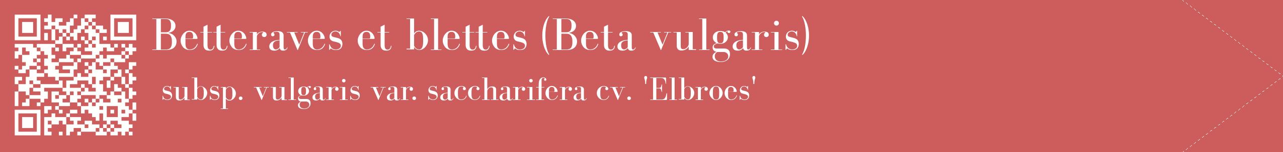 étiquette 2