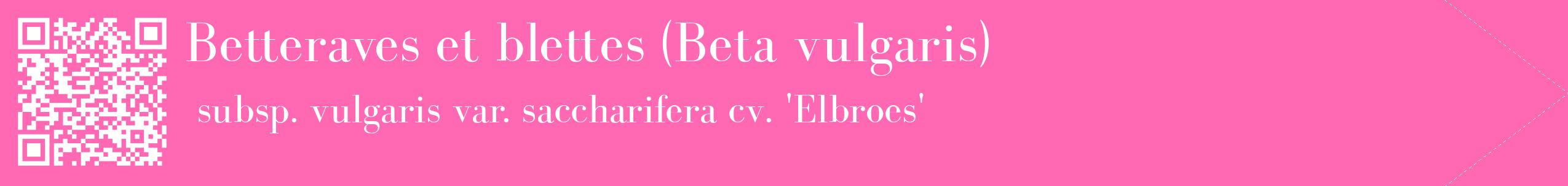 étiquette 2