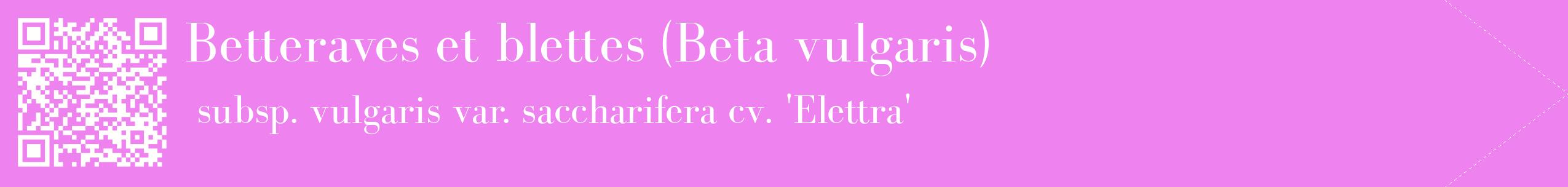 étiquette 2
