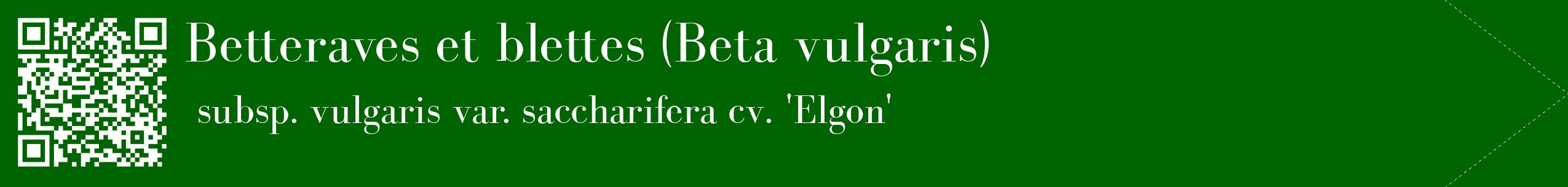 étiquette 2