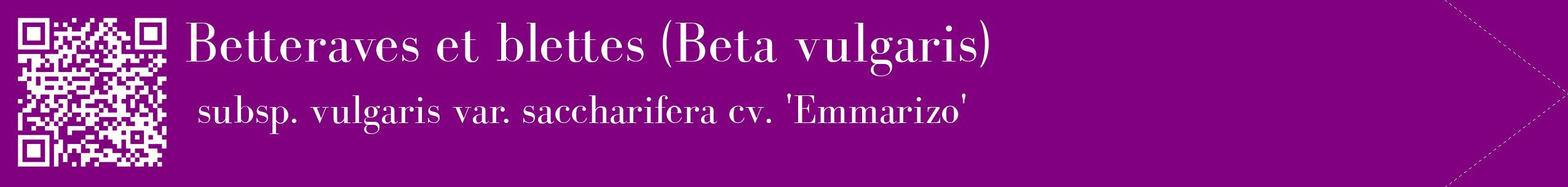 étiquette 2