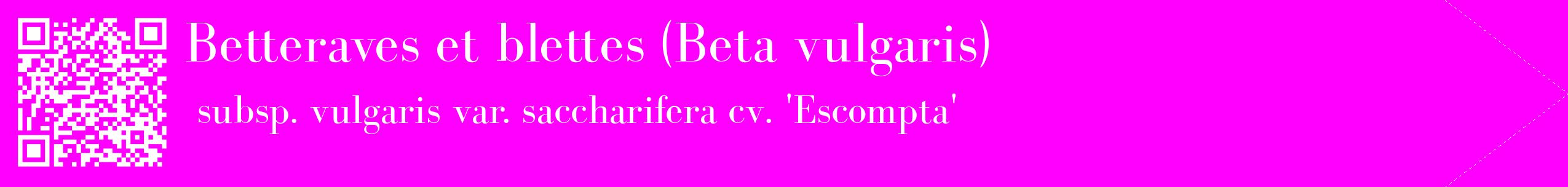 étiquette 2