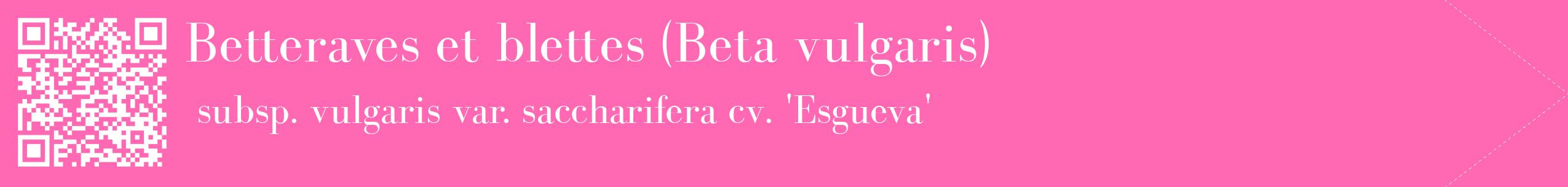 étiquette 2