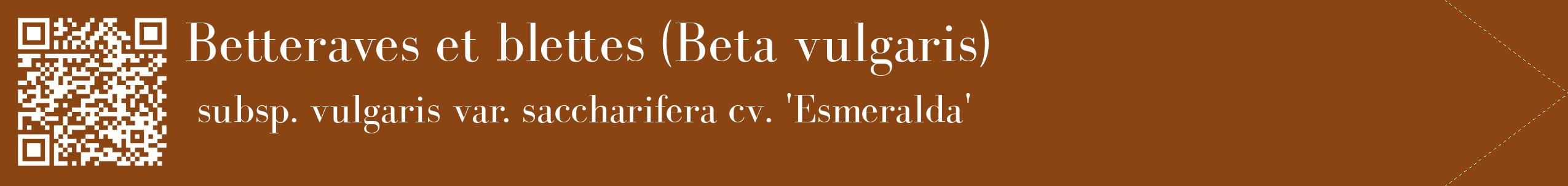 étiquette 2