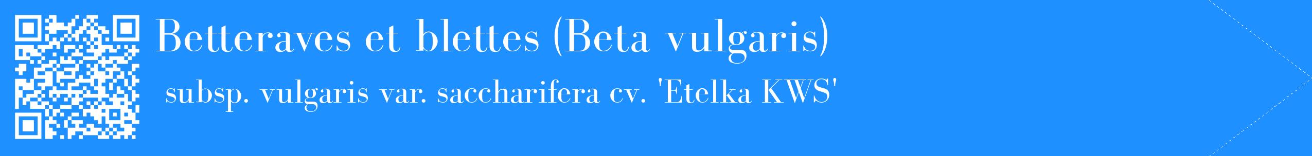 étiquette 2