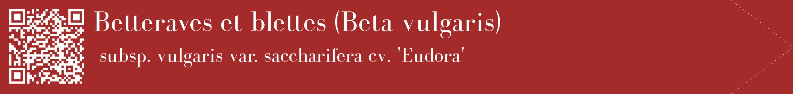 étiquette 2