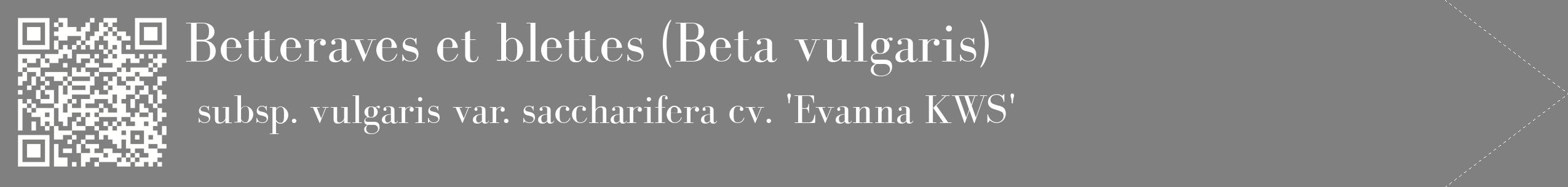 étiquette 2