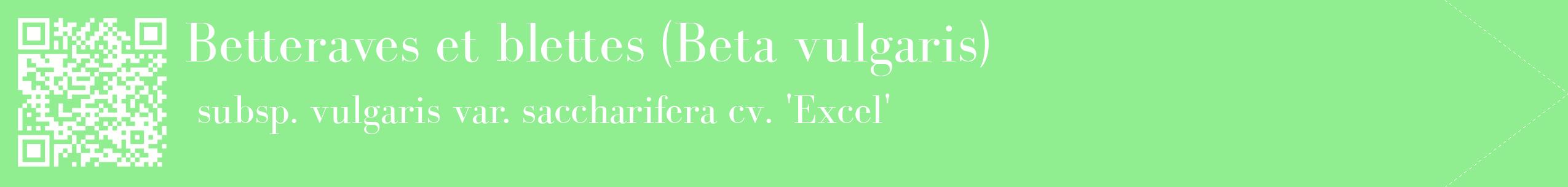 étiquette 2