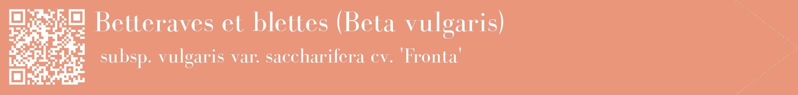étiquette 2
