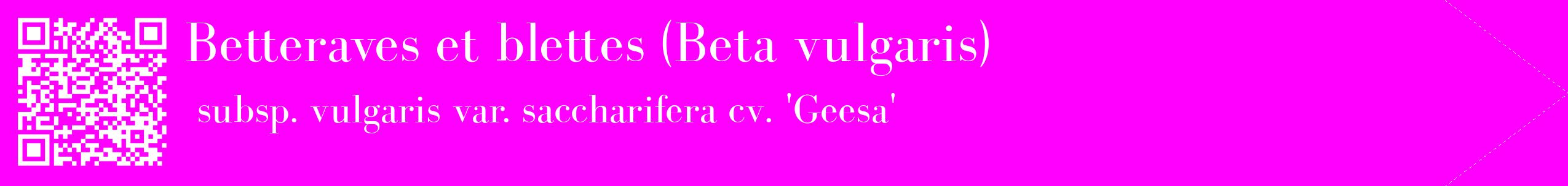 étiquette 2