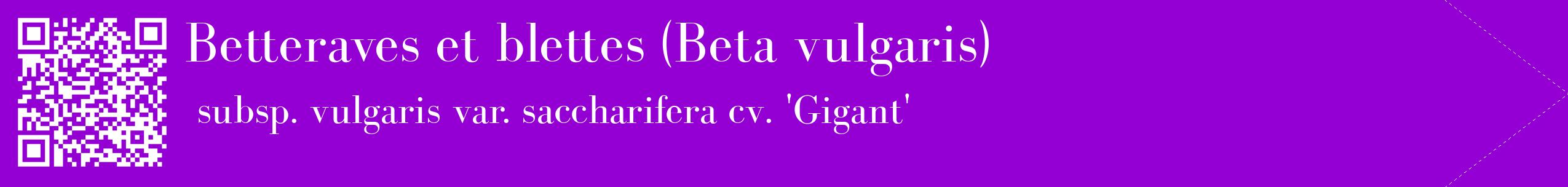 étiquette 2