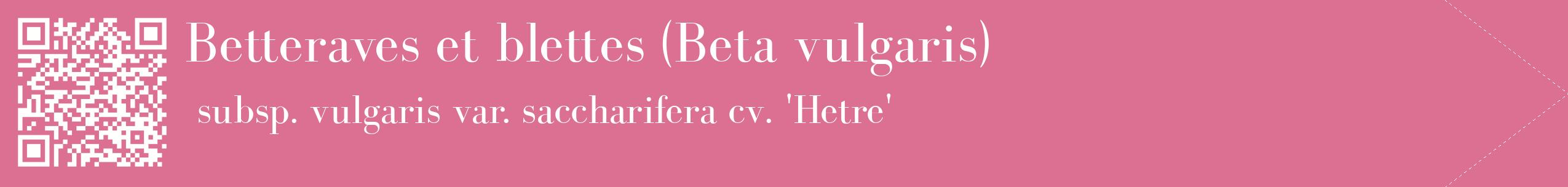 étiquette 2