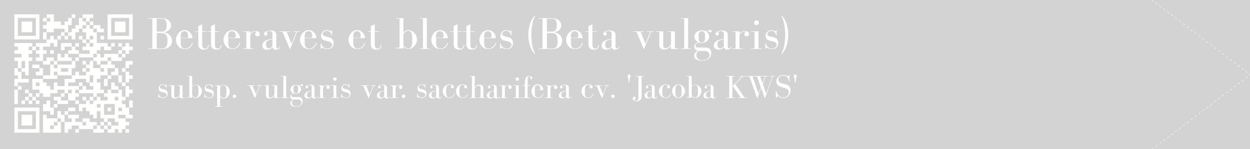 étiquette 2