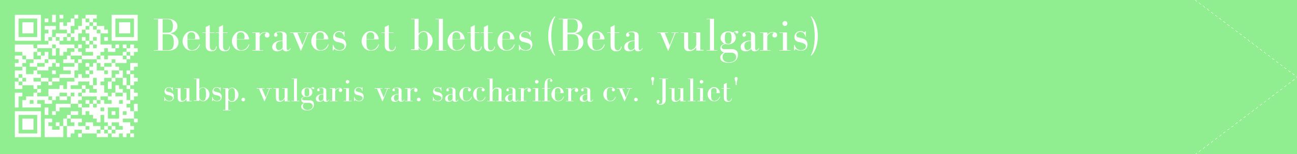 étiquette 2