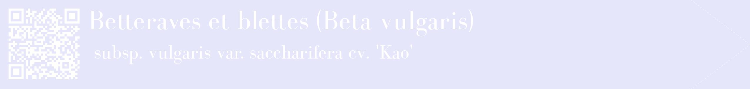 étiquette 2