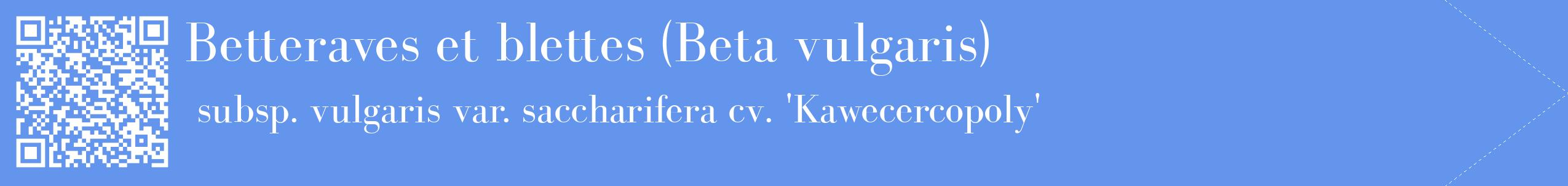 étiquette 2