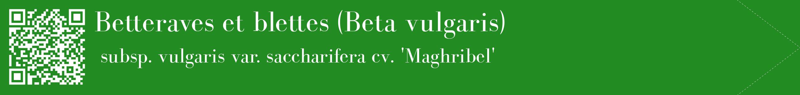 étiquette 2