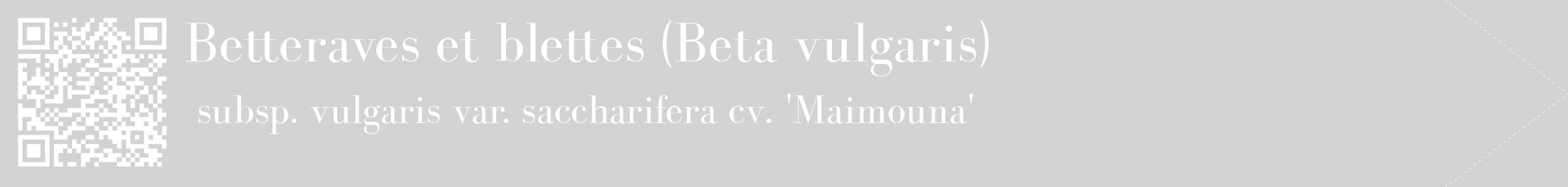 étiquette 2