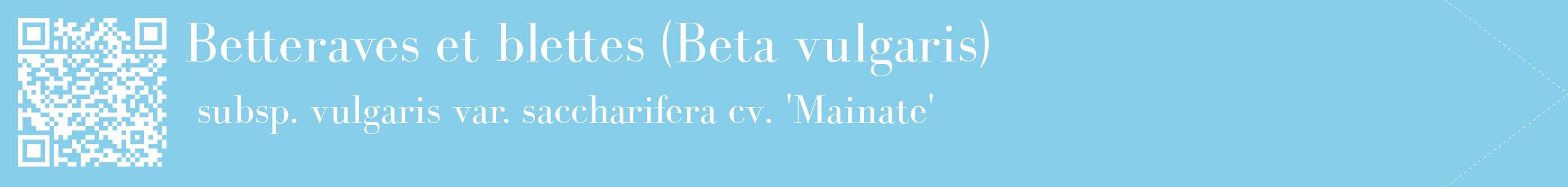 étiquette 2