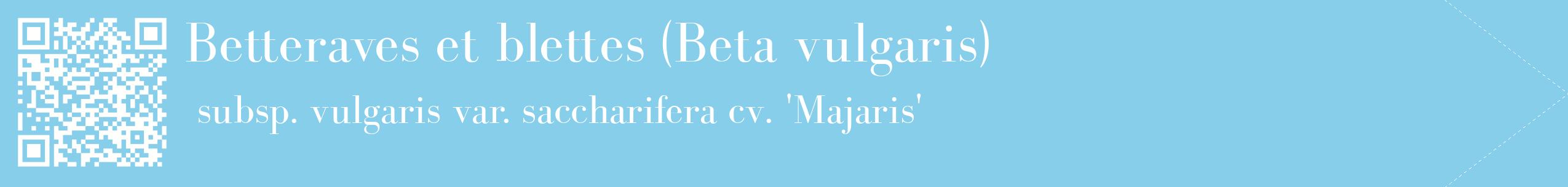 étiquette 2
