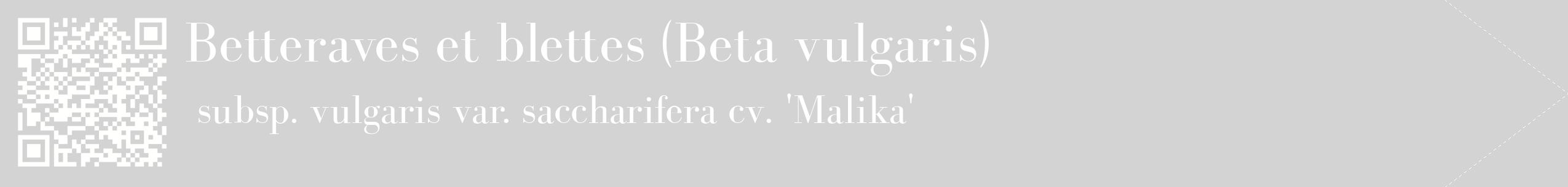 étiquette 2