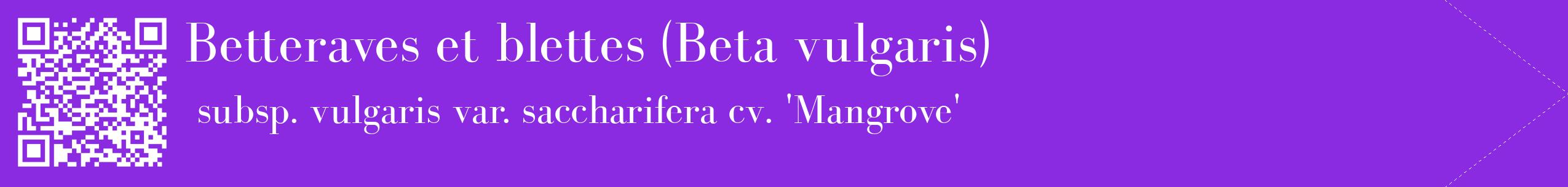 étiquette 2