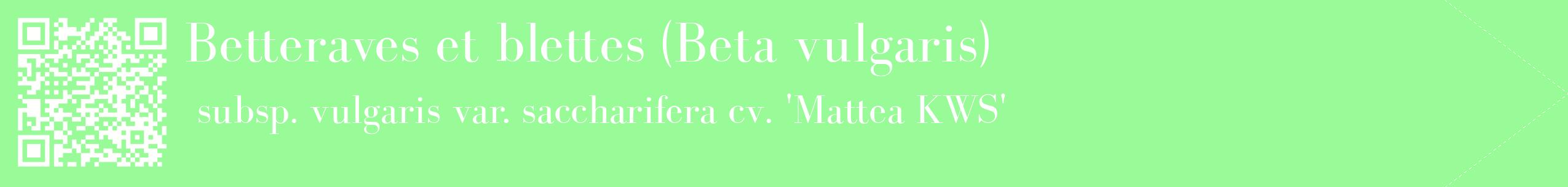 étiquette 2