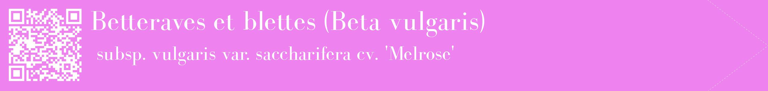 étiquette 2