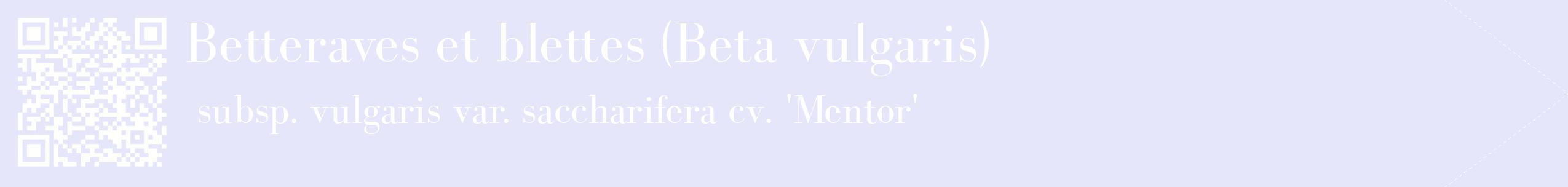 étiquette 2