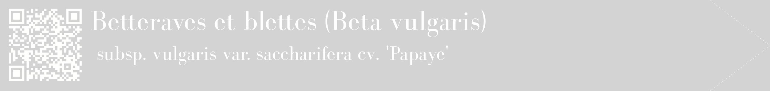 étiquette 2