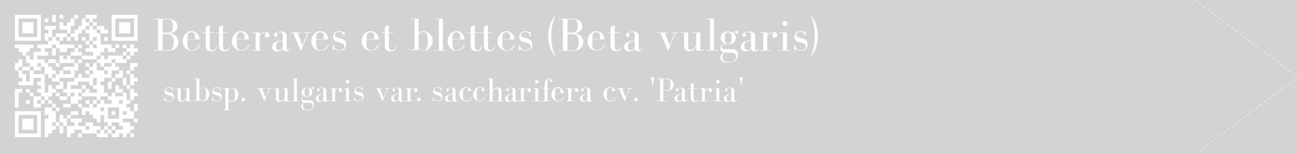 étiquette 2