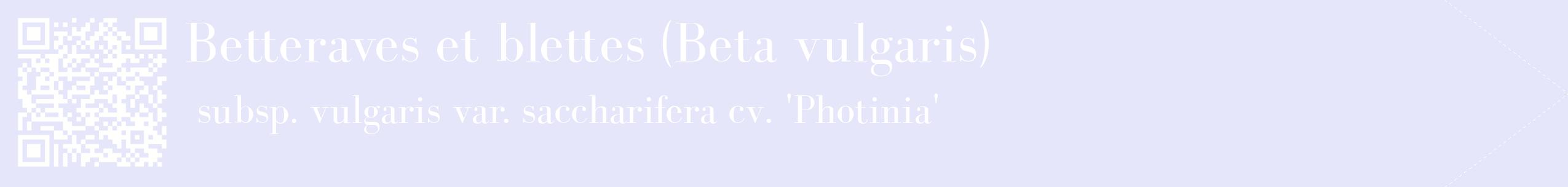 étiquette 2