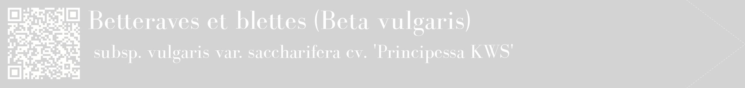 étiquette 2