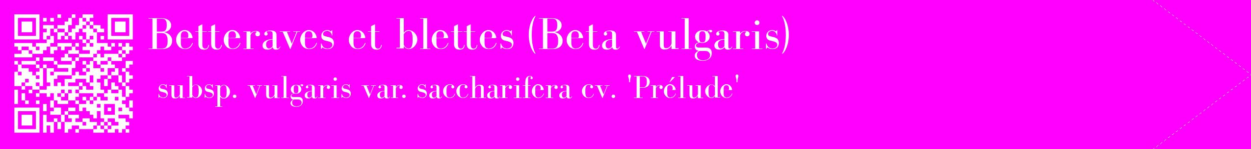étiquette 2