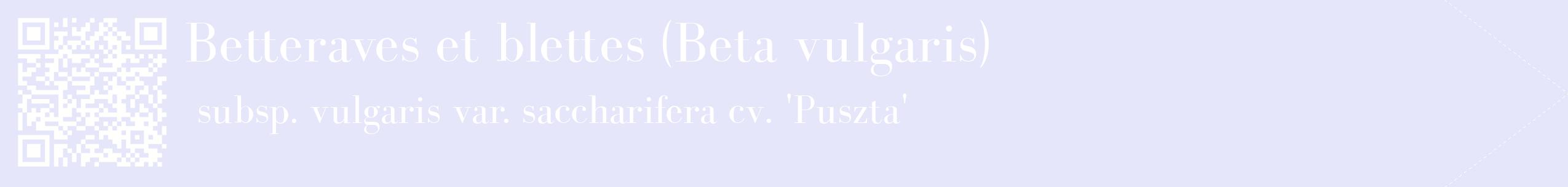 étiquette 2