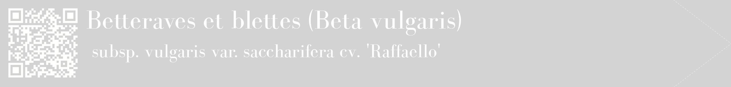 étiquette 2