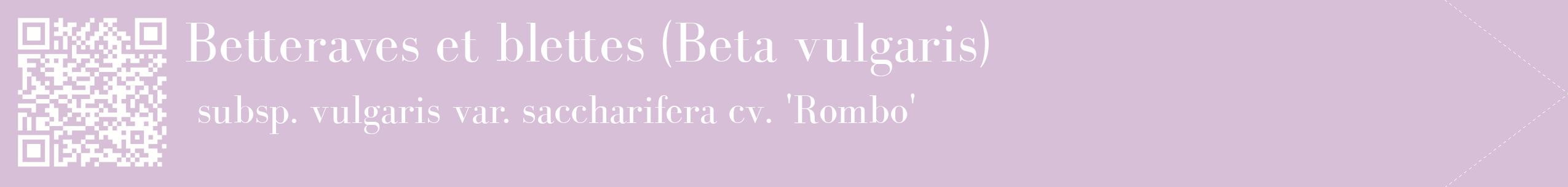 étiquette 2