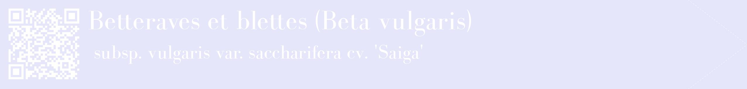 étiquette 2