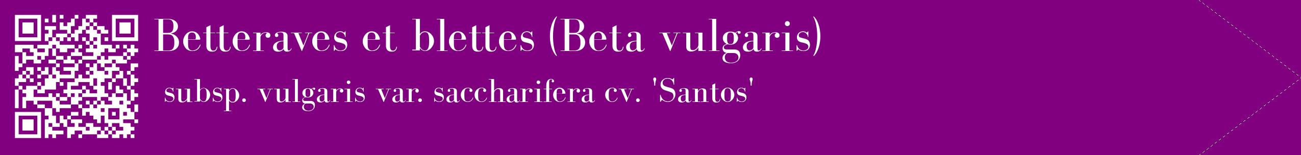 étiquette 2