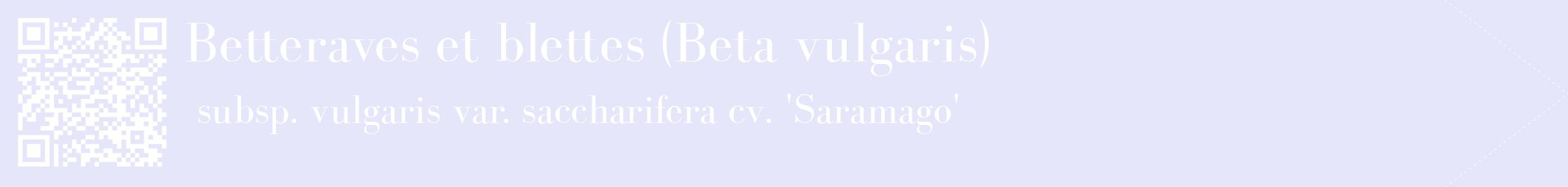 étiquette 2